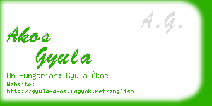 akos gyula business card